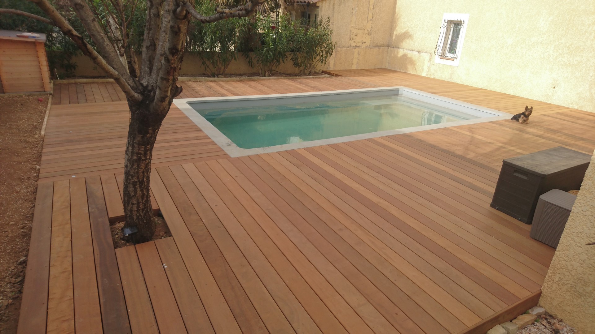 Qu'est ce que l'Itauba ? Sud Bois Terrasse, Bois Direct Scierie